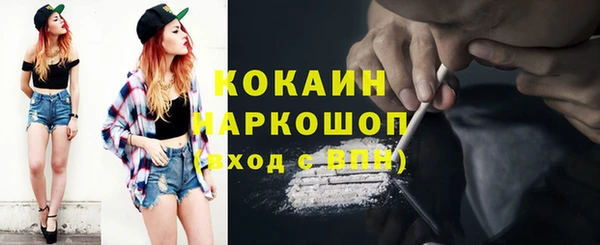 сатива Абинск