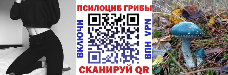 Псилоцибиновые грибы ЛСД  где продают   Старая Русса 